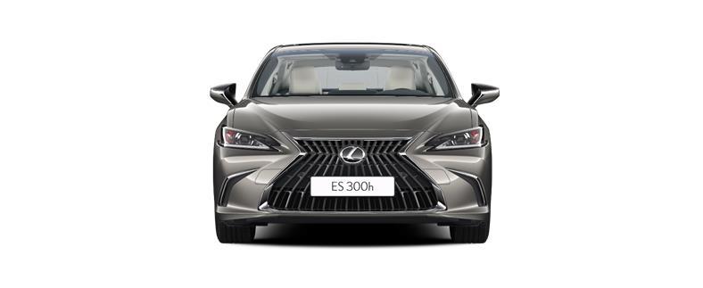 Renting Coches Lexus ES 300h Premium Titanium