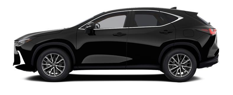 Renting Coches Lexus NX 350h 2WD Premium + Negro, Gris, Titanium, Blanco, Verde