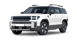 Renting Coches Hyundai Santa Fe - 1.6T PHEV 4X4 AT Maxx