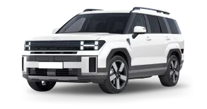 Renting Coches Hyundai Santa Fe - 1.6T PHEV 4X4 AT Tecno