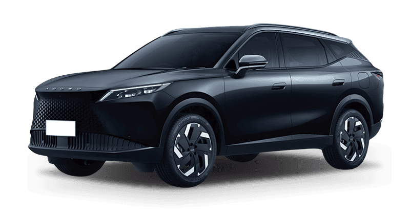 Renting Coches Omoda 7